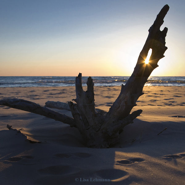Lake Michigan: The Wisconsin Shore 